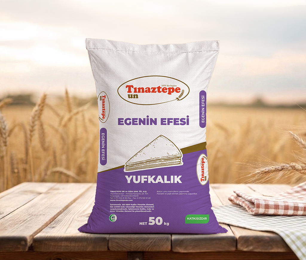 Egenin Efesi